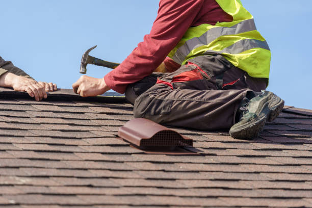 Best Roof Leak Repair  in Hamton, IL