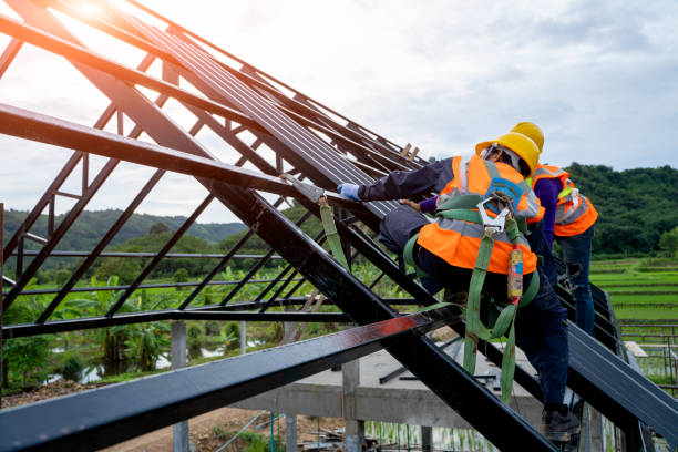 Best Best Roofing Contractors  in Hamton, IL
