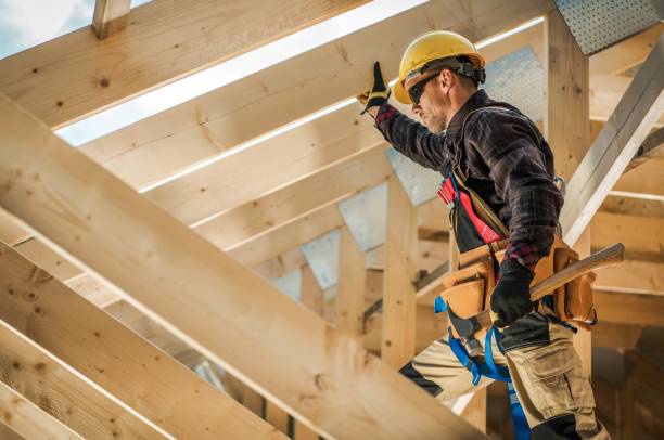 Best Roof Gutter Cleaning  in Hamton, IL