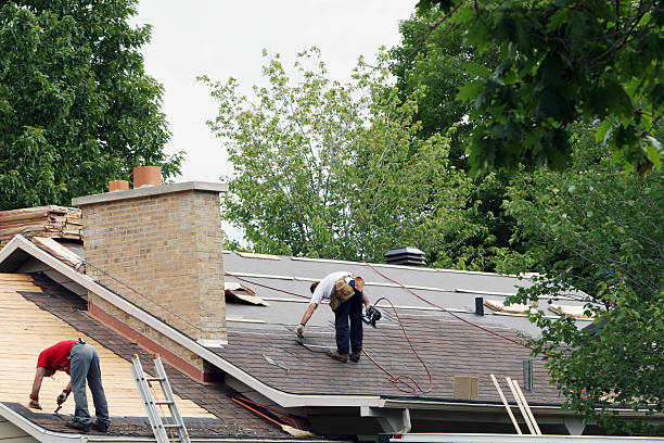Best New Roof Installation  in Hamton, IL