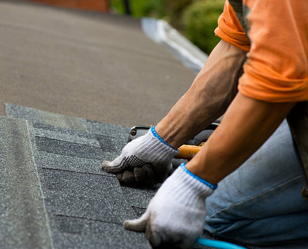 Best Residential Roofing Contractor  in Hamton, IL