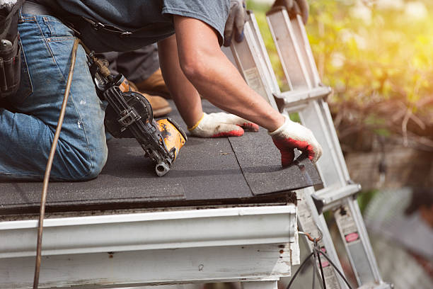 Best Commercial Roofing Services  in Hamton, IL