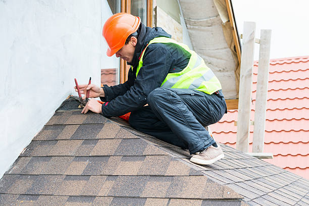 Best Roof Repair Services  in Hamton, IL