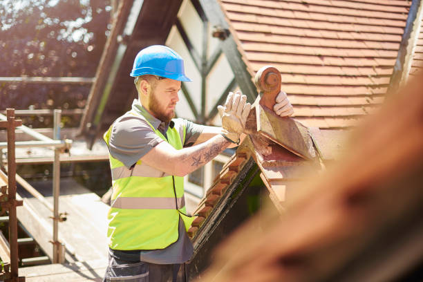 Best Residential Roofing Contractor  in Hamton, IL